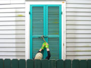 Storm shutters are hammered closed on a 100-year-old house, Friday, August 27, 2021, in New Orleans, as residents prepare for Hurricane Ida.