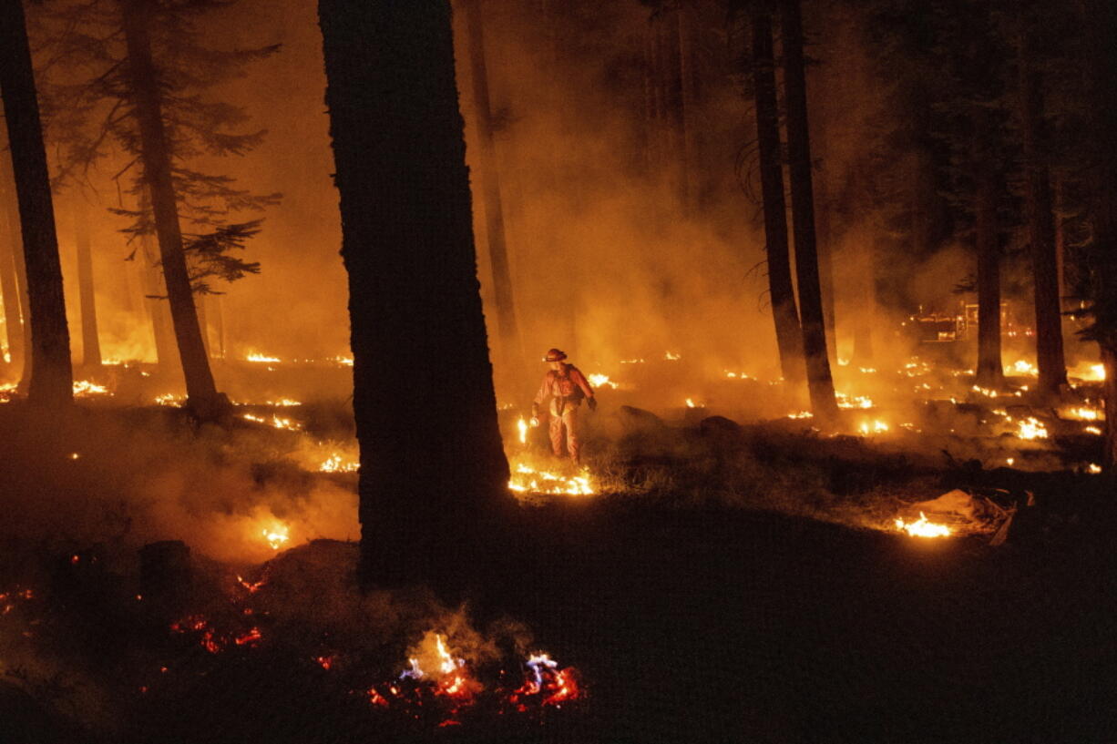 A firefighter uses a drip torch to ignite vegetation while trying to stop the Dixie Fire from spreading in Lassen National Forest, Calif., on Monday, July 26, 2021.