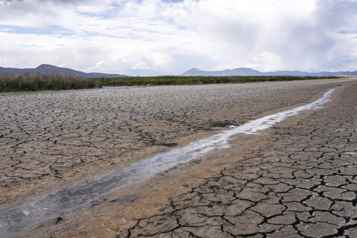 FILE - In this June 9, 2021, file photo, a small stream runs through the dried, cracked earth of a former wetland near Tulelake, Calif. A federal judge has thrown out Trump-era rule that ended federal protections for hundreds of thousands of small streams, wetlands and other waterways across the country.