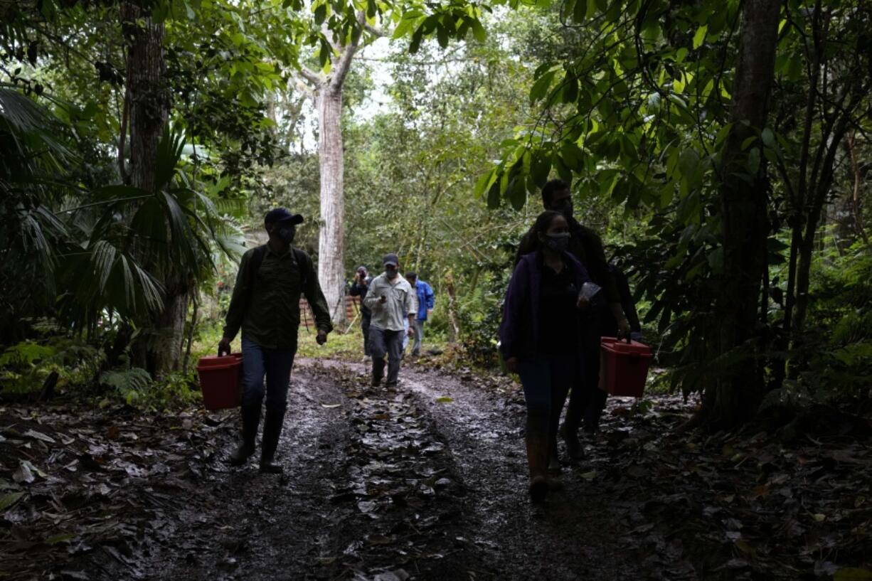 Scientists walk with locals as they collect plant samples to extract its DNA as part of the Barcode Galapagos project in the island of San Cristobal, Galapagos, Ecuador, Friday, Aug. 20, 2021. The  Barcode Galapagos project trains and pays locals to be "citizen scientists" in an effort to catalogue the genetic code of more plants, animals and microorganisms in the Galapagos.