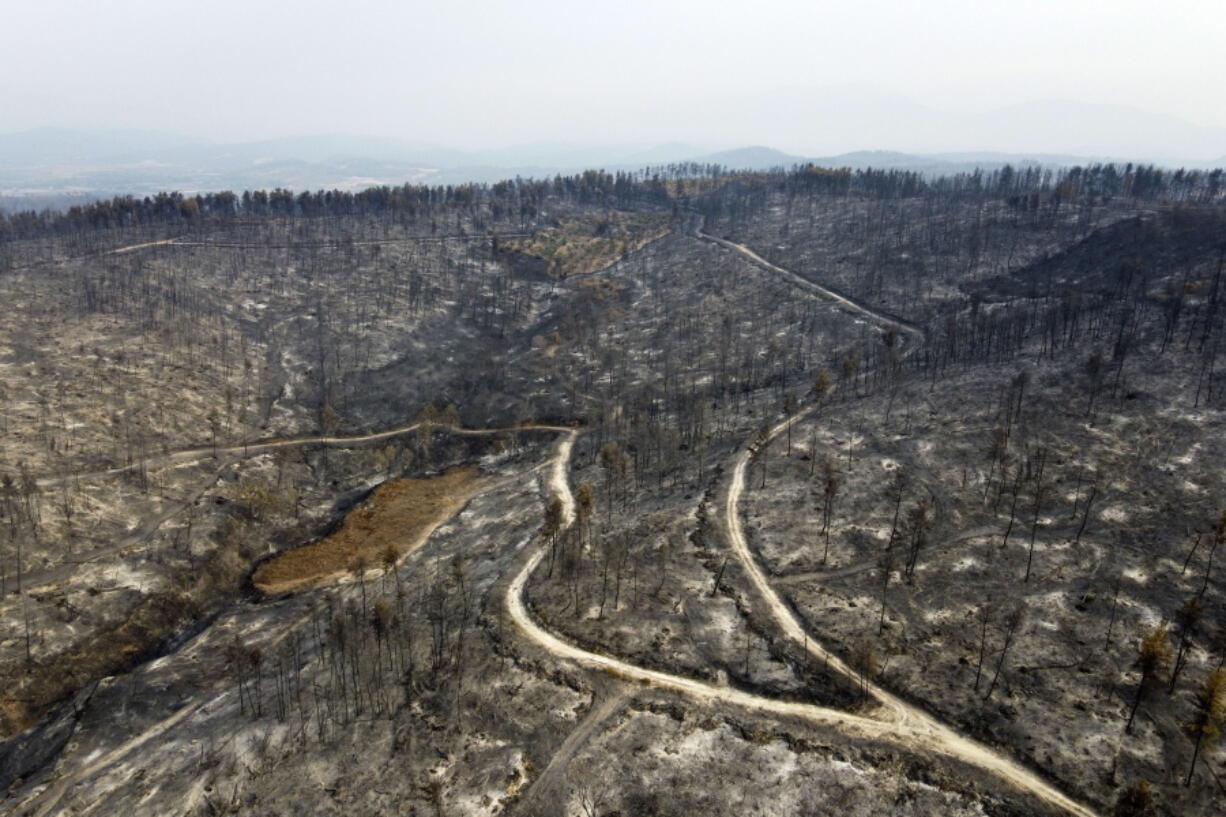 A burnt forest in Agia Anna village on Evia island, about 181 kilometers (113 miles) north of Athens, Greece, Wednesday, Aug. 11, 2021. Hundreds of firefighters from across Europe and the Middle East worked alongside Greek colleagues in rugged terrain Wednesday to contain flareups of the huge wildfires that ravaged Greece's forests for a week, destroying homes and forcing evacuations.