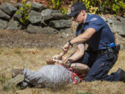 Recruit officer Ryan Rich with the Vancouver Police Department handcuffs "suspect" Don Cornwell,  a recruit with the DuPont Police Department, after a mock fight during an academy class at the Washington Criminal Justice Training Center in Burien, Washington on Wednesday, August 18, 2021, where recruits are learning and using less-than-lethal force alternatives. (Ellen M.