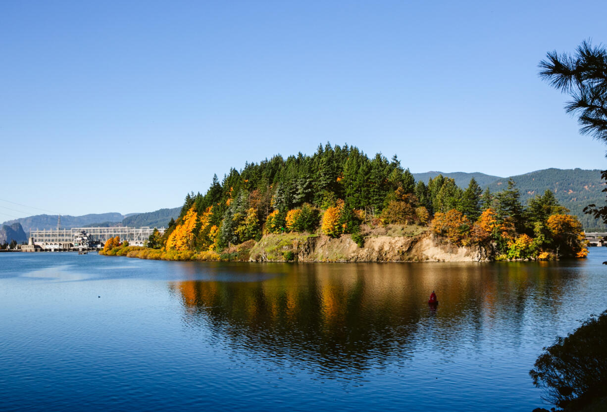 Bradford Island and the Bonneville Dam on the Columbia River in 2019.