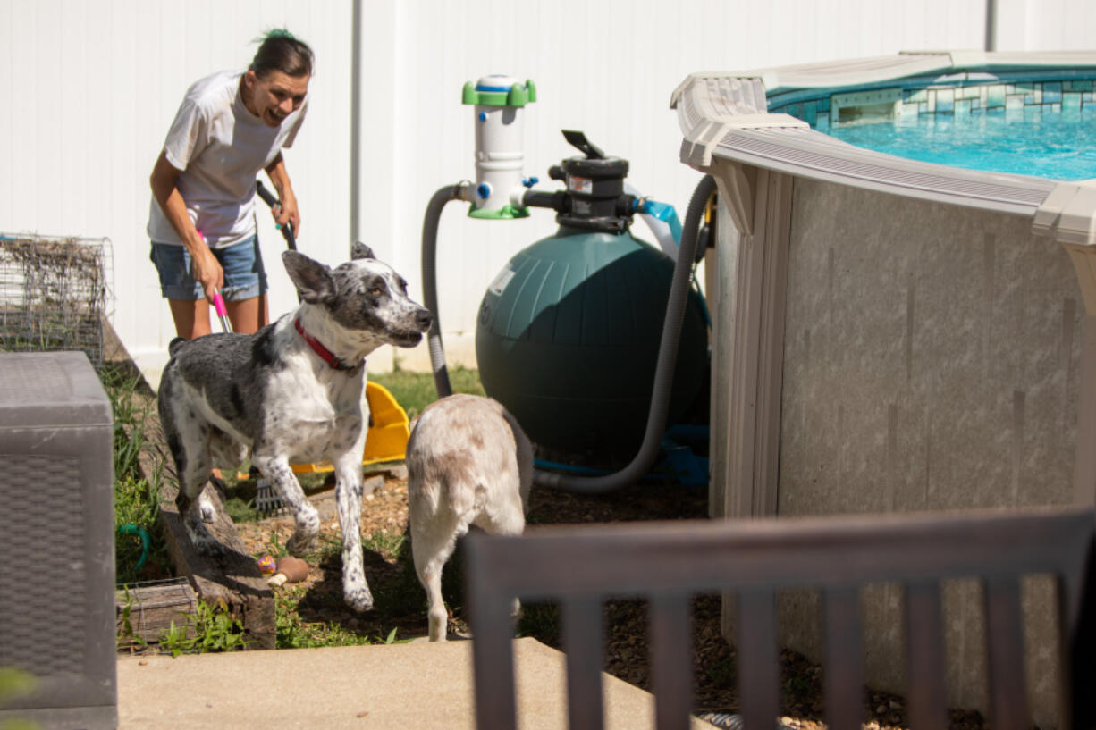 Danyel Whitbread is greeted by a customer's dogs, Capone, left, an Australian heeler mix, and Sage, an Australian shepherd, in St. Peters, Missouri on Saturday, August 14, 2021, while cleaning their backyard. (Daniel Shular/St.