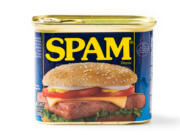 In World War II, some soldiers used Spam to lubricate their guns or waterproof their boots.