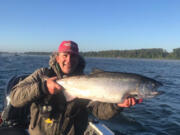 The Columbia River has been closed and reopened for Chinook fishing frequently this year. When it has been open anglers are catching lots of fine Chinook like this one taken with Dave's Guide Service.