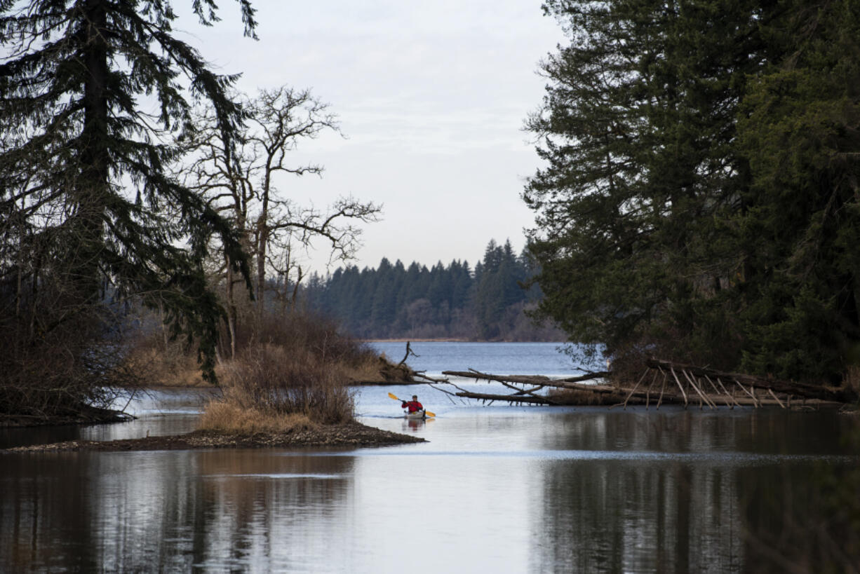 Jerry Ames of Vancouver kayaks on Lacamas Lake in Camas in 2019. Community activists are asking parties involved in a lawsuit over a biofilter at the lake to settle the case and work toward restoring the area.