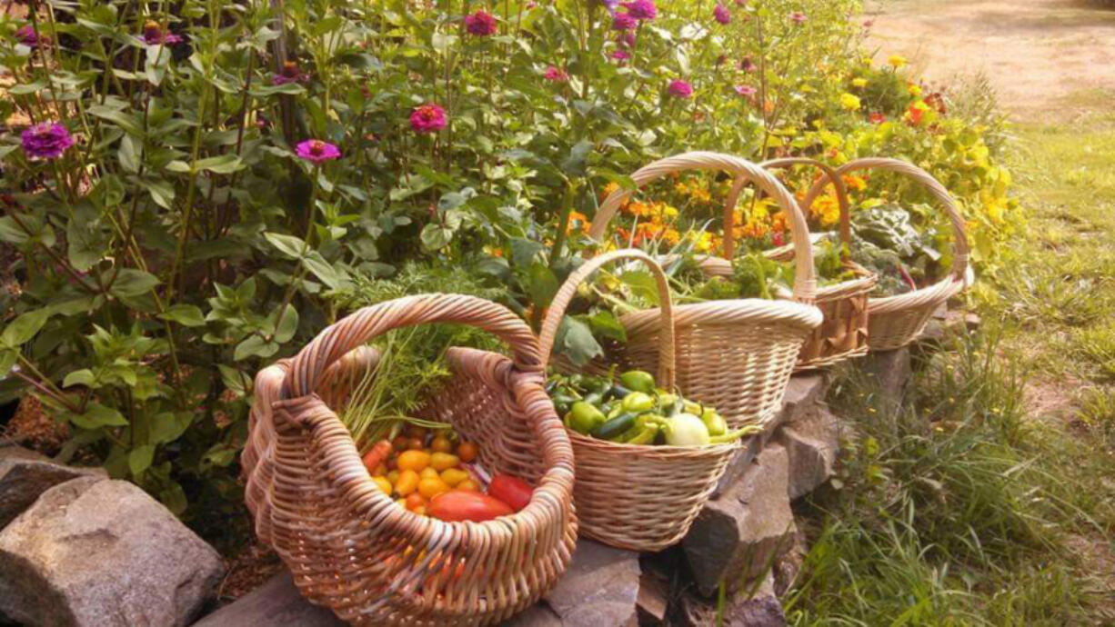 A seed swap before this year's growing season benefited gardeners and the North County Community Food Bank in Battle Ground.