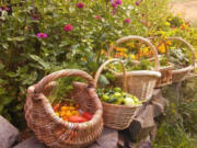 A seed swap before this year's growing season benefited gardeners and the North County Community Food Bank in Battle Ground.