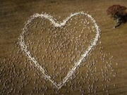 Sheep form the shape of a heart in a field Aug. 5 in Guyra, northern New South Wales, Australia.