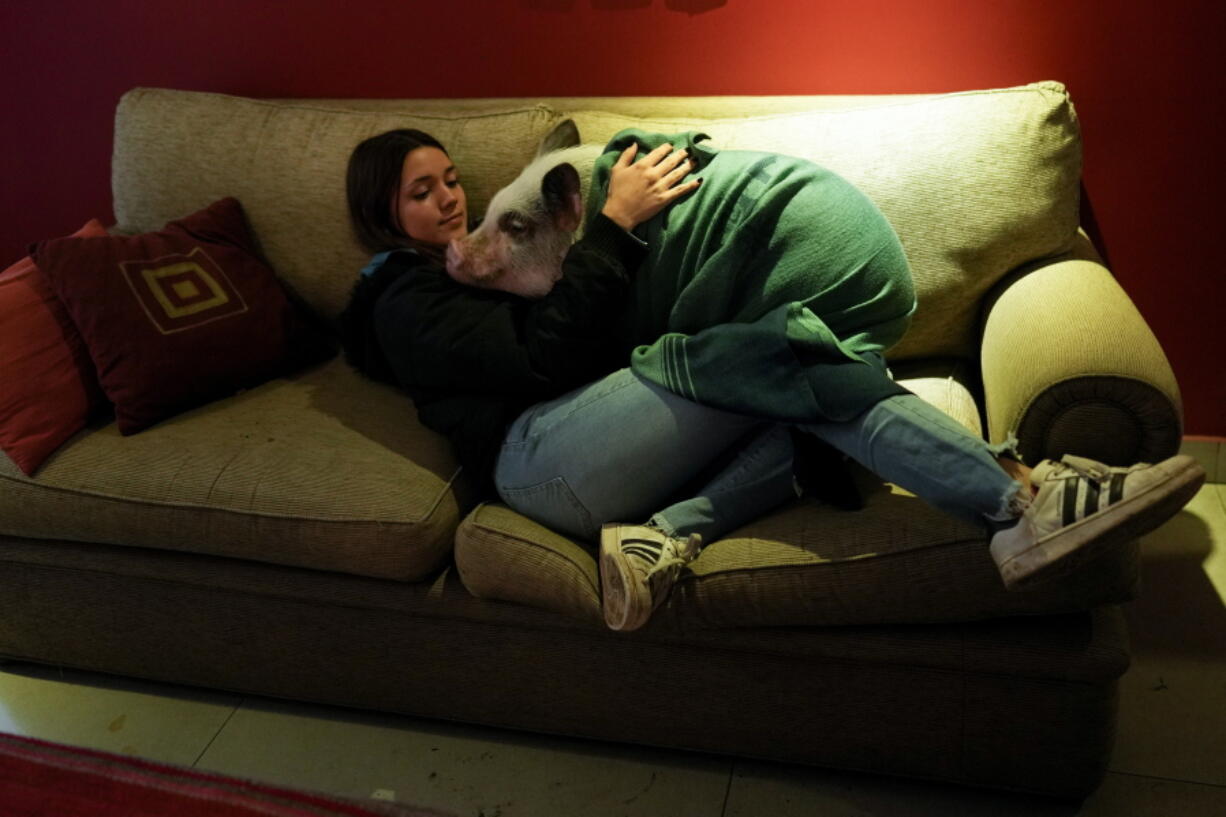 Luciana Benetti, 16, embraces her pet pig Chanchi at home in Buenos Aires, Argentina, Saturday, Sept. 4, 2021. Benetti found her plans for a big traditional 15th birthday party scrapped due to the COVID-19 pandemic last year. In its place, her parents gave her a pig, which turned out to be a loyal and loving companion.