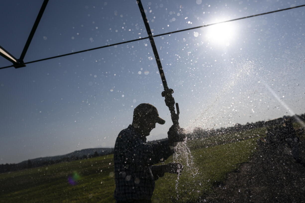 Matt Lisignoli shuts off an irrigation sprinkler at his farm, Smith Rock Ranch, in the Central Oregon Irrigation District on Tuesday, Aug. 31, 2021, in Terrebonne, Ore. The stark contrast between the water haves and have-nots two hours southeast of Portland has brought new urgency to efforts to share the resource. Proposals to create "water banks" or "water markets" would allow farmers with excess water to "lease" it to those in need.