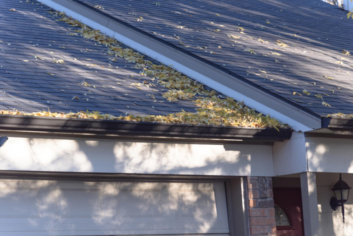 Debris and leaf buildup in your gutters can cause roof and foundation damage. Gutter cleaning is an important step in fall home maintenance.