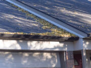 Debris and leaf buildup in your gutters can cause roof and foundation damage. Gutter cleaning is an important step in fall home maintenance.