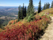 The colors on Silver Star Mountain are glowing now, but it's a bit of a hike to get there.