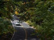 The urban forestry commission is handing out one tree per household in an effort to make Vancouver more environmentally friendly. Advanced registration is required.