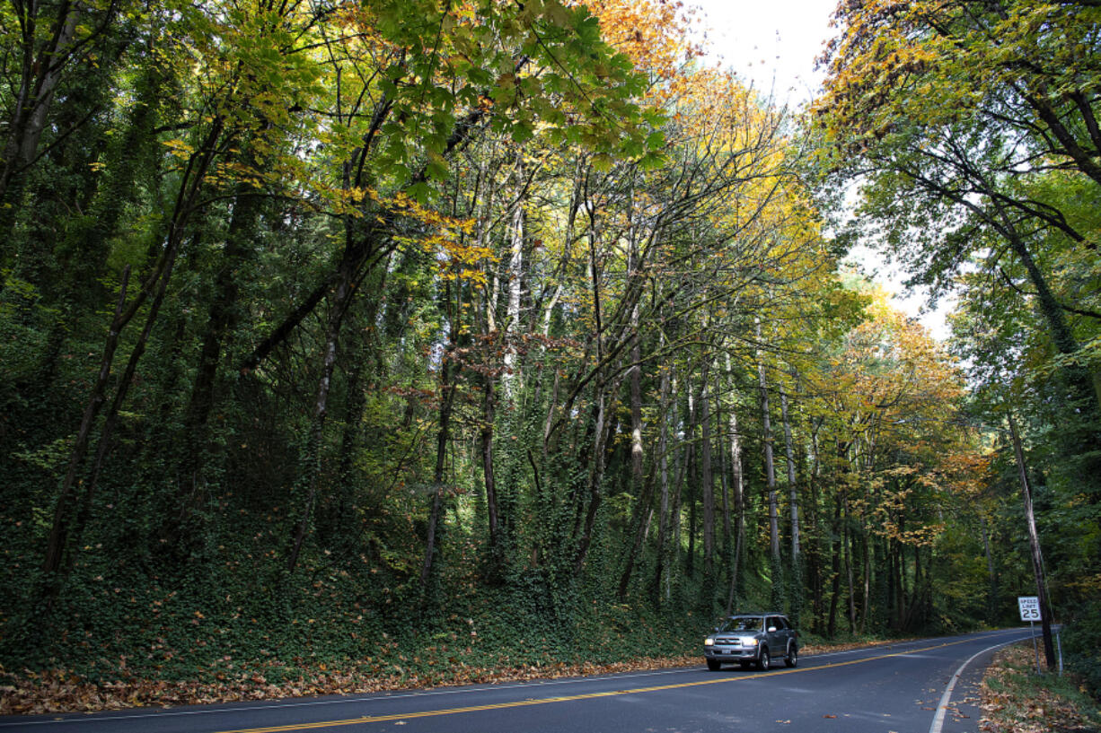 Vancouver is still striving to increase its urban canopy to 28 percent by 2030, which would improve air and water quality, as well as decrease heat waves in the city.