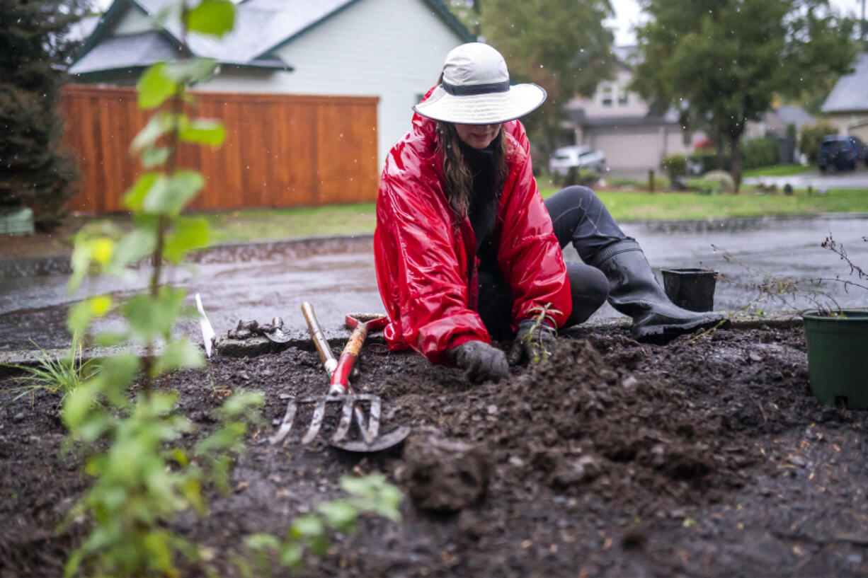 A Riveridge Neighborhood volunteer plants foliage in the 13th Street cul-de-sac island on Saturday morning.