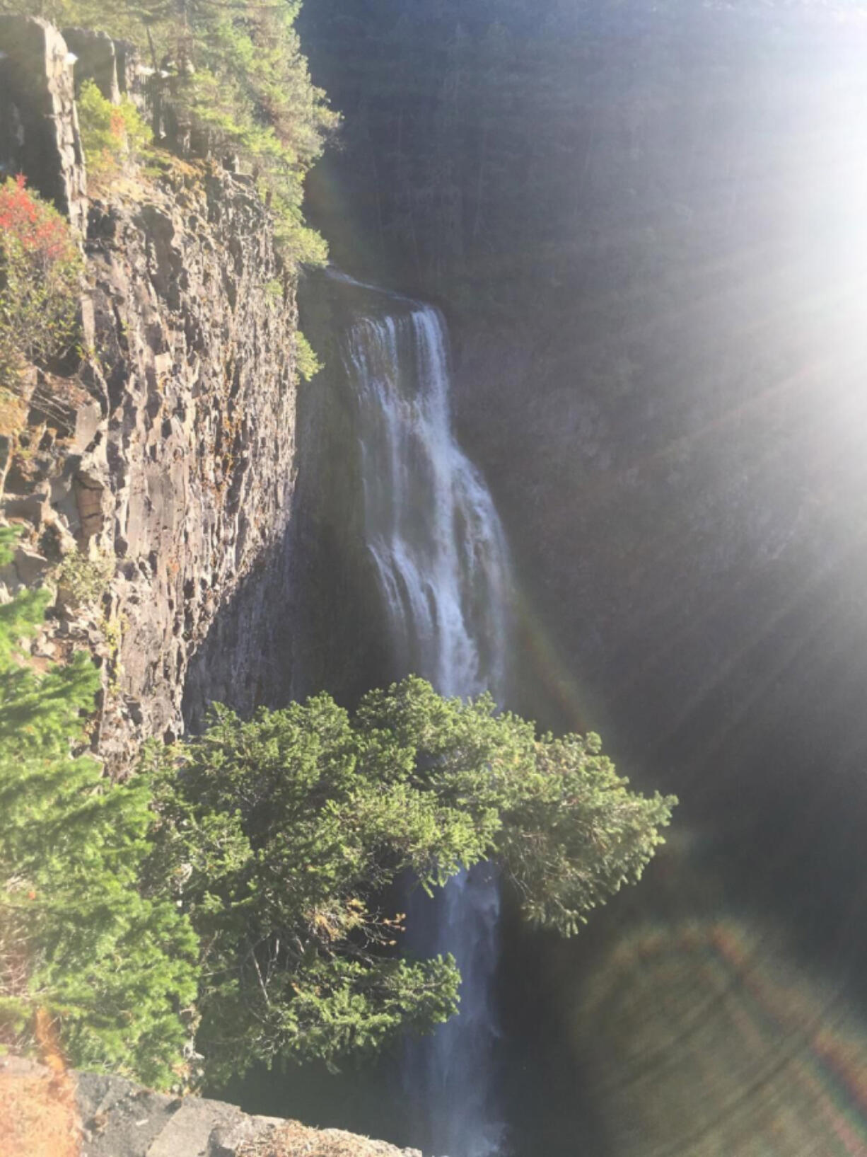 Salt Creek Falls as seen on a late September afternoon. The viewing platform is just 50 yards from the parking lot. Take precautions with your valuables anyway.