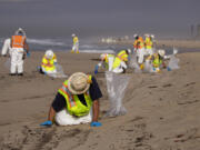 Cleanup crews spread out across the beach as they begin cleaning up oil in the sand from a major oil spill on Huntington State Beach in Huntington Beach Monday, Oct. 4, 2021. Cleanup crews began cleaning up the the damage from a major oil spill off the Orange County coast that left crude spoiling beaches, killing fish and birds and threatening local wetlands. (Allen J.