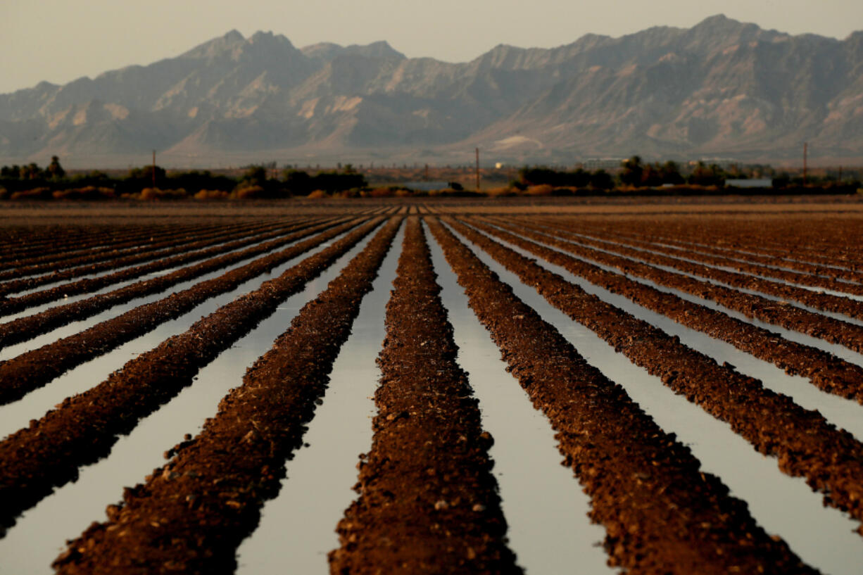 Colorado River water irrigates a farm field in Blythe, California, on Sept. 7, 2021.