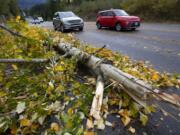 A broken tree rests on the side of the road Sunday, Oct. 24, 2021, near Snoqualmie, Wash., as a series of storms moved through the area.