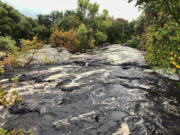 The North Fork of the Kaweah River, which flows from Sequoia National Park, is seen swollen with frothy, black water, Monday, Oct. 25, 2021, in Three Rivers, Calif.