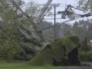 A large tree uprooted onto Rt. 132 bringing down a massive array of power onto the roadway, on Wednesday, Oct. 27, 2021, in Sandwich, Mass. Utility crews had to wait for the winds to subside before they could go up in bucket trucks to repair the damage.