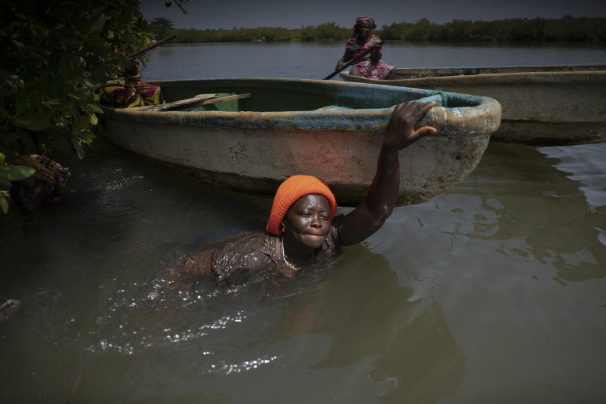 Rose Jatta pulls her boat into the estuary waters as she looks for fish traps she had set up earlier in the mangrove of the Gambia river in Serrekunda, Gambia, Saturday, Sept. 25, 2021. As health officials in Gambia and across Africa urge women to be vaccinated, they've confronted hesitancy among those of childbearing age. Although data on gender breakdown of vaccine distribution are lacking globally, experts see a growing number of women in Africa's poorest countries consistently missing out on vaccines. Jatta fears the vaccine against COVID-19 could make her ill, leaving her two children without food on the dinner table.