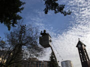 Bryon Ledin of Clark Public Utilities lends a hand as hundreds of holiday lights are hung in the trees Wednesday morning at Esther Short Park in downtown Vancouver. Due to COVID-19-related mandates and staffing impacts, the in-person event was canceled, but the city and the Vancouver Rotary Club are creating a video set to broadcast on CVTV that will kick off the community tree-lighting.