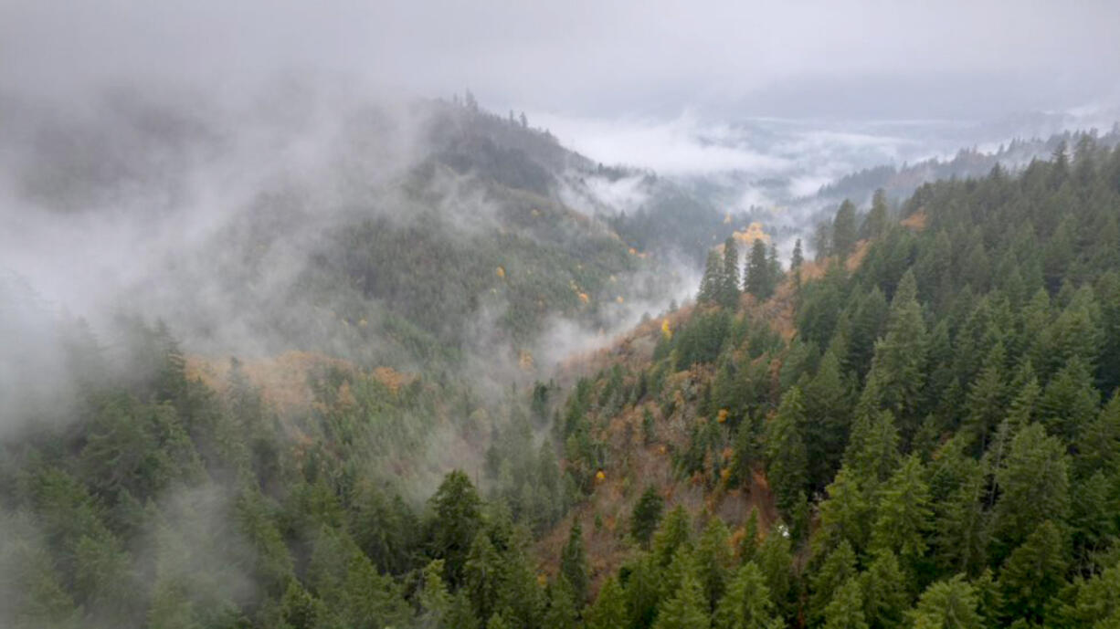 Right outside the town of Klickitat, much of the land is now meant for conservation and restoration by its new owner, the Conservation Fund.