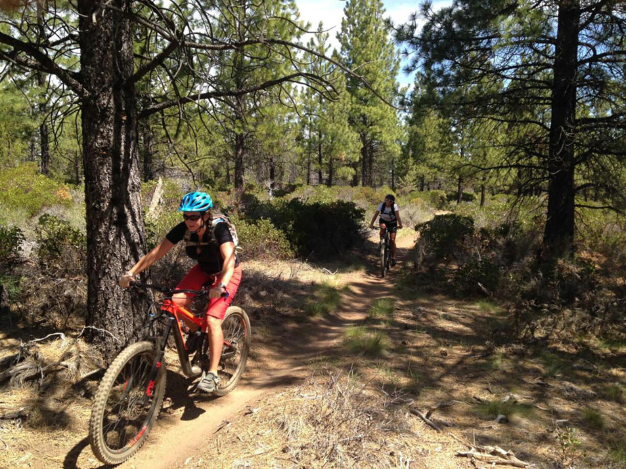 Mountain bikers climb the Mrazek Trail near Shelvin Park, west of Bend, Oregon.