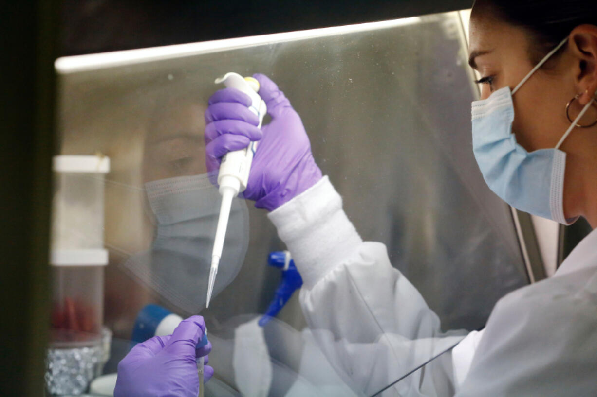 Lexi Duscher works in a lab at the Virginia Seafood Agricultural Research and Extension Center in downtown Hampton last week.