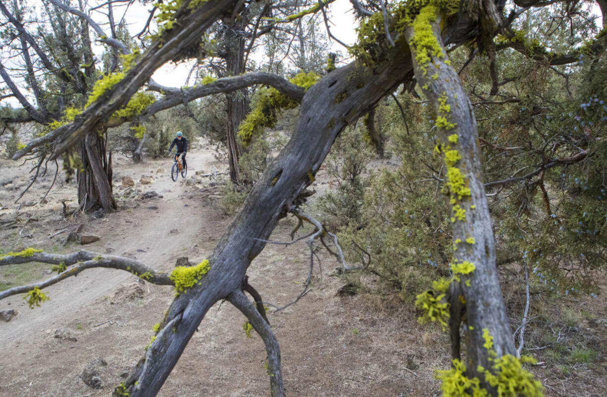 Mark Thalman of Redmond, Ore., rides his mountain bike along a singletrack trail at Maston in Central Oregon.