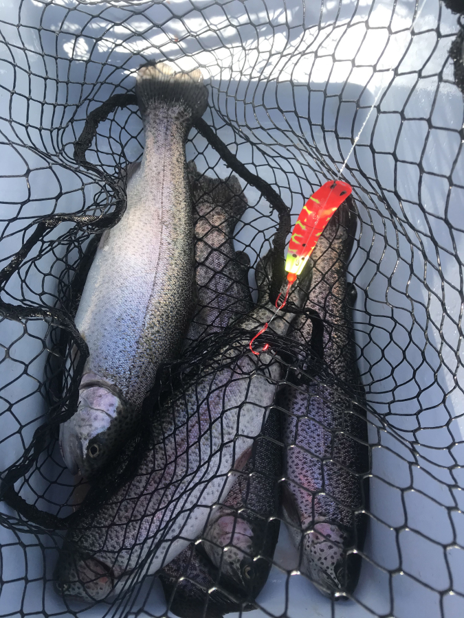 Washington lakes stocked for Black Friday trout fishing - The