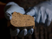 A researcher holds pieces of a meteorite that they identified as coming from the asteroid Vesta, on June 30, 2021, at the Field Museum in Chicago.