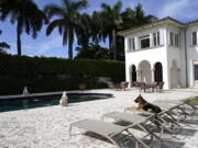 German Shepherd Gunther VI sits by the pool at a house formally owned by pop star Madonna, Monday, Nov. 15, 2021, in Miami. Gunther VI inherited his vast fortune, including the 9-bedroom waterfront home once owned by the Material Girl from his grandfather Gunther IV. The estate, purchased 20 years ago from the pop star, was listed for sale Wednesday.