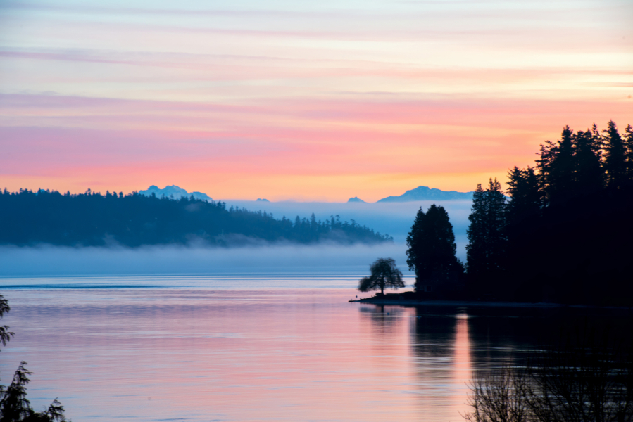 Puget Sound is at risk ecologically from human waste among other things.