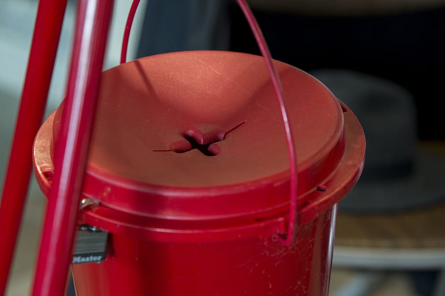 A man was arrested Saturday night after he allegedly assaulted a Salvation Army bell ringer and forcibly took the cash kettle at the Orchards Fred Meyer.