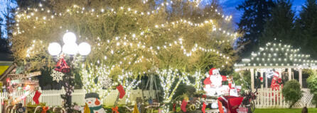 Lights and other holiday decorations fill the yard outside Susie's Country Inn for Dogs and Cats on Northeast 159th Street near Brush Prairie.