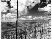 Taken 75 years after the Yacolt fire, this photo shows the desolation still left behind. For 112 years, it remained Washington's largest fire until Okanogan burned in 2014. The fire spared Yacolt, which bears its name, but blistered the paint on the village's buildings.