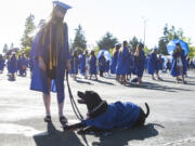 Alexis Crousare of Vancouver waits with her 4-year-old English lab and diabetic alert dog, Vader, on June 17, 2021, before the Clark College commencement ceremony at Kim Christiansen Field. Crousare earned her associate's degree through Clark College's Running Start program, which allows high school students to take college courses before they graduate.