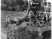 Fish wheels, like the one in this 1903 photo along the Washougal River, floated on deeper rivers with salmon runs from 1866 until they were banned in 1934. Today, they are used to catch salmon for research because the fish can be returned unharmed to the river. Alaska’s Copper River is the only place in the U.S. today that permits fish wheels.