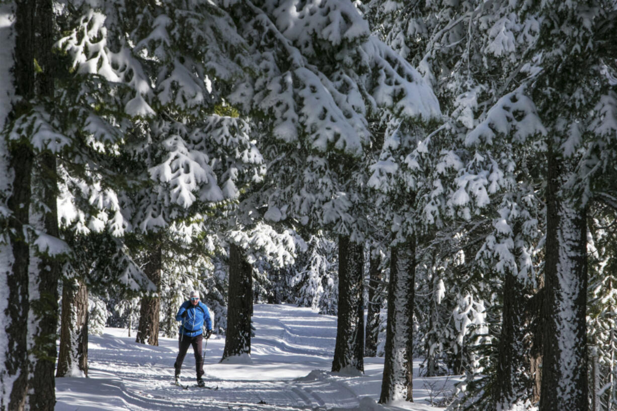 A fresh dusting of snow clings to the trees as Tim Gibbons cross-country skis his way down a section of the Ponderosa trail last winter at Virginia Meissner Sno-park near Bend, Ore.