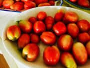 Fresh plum tomatoes from the summer garden should not be refrigerated; they should be used as soon as possible to make a marinara sauce.