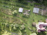 This undated photo shows the garden of writer Lee Reich in New Paltz, NY. A mixed garden of vegetables, flowers, herbs and fruits can please all the senses.