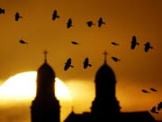 A flock of birds fly past a Catholic church as the sun rises Jan. 1 in Damar, Kan. For Christian birdwatchers -- or to use a phrase coined by theologian John Stott, "ornitheologists" -- birding is a kind of worship.