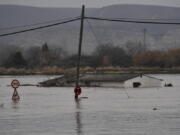 A flooded area near the Ebro River in Alfocena, near to Zaragoza Aragon province, northern Spain, Tuesday, Dec. 14, 2021. Heavy rain has led to flooding in northern Spain.