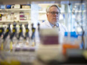 Dr. Douglas Vaughan is seen in his lab, Jan. 3, 2022, at Northwestern???s Simpson Querry Biomedical Research Center. The new Potocsnak Longevity Institute focuses on how to help people live longer, healthier lives through research and treating patients.