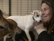 Babs Fry pets dogs in a room that's meant for socializing Jan. 5 in Jamul, Calif. She helps people find their runaway dogs after experiencing her own pet running away. Fry has launched a nonprofit called A Way Home For Dogs.